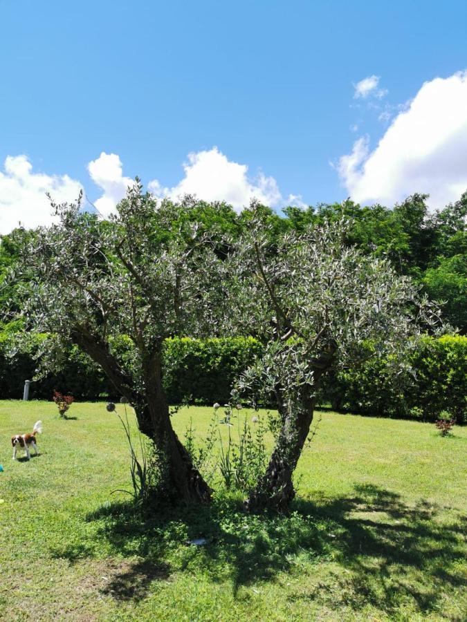 Villa Giulia Gragnola Exterior foto
